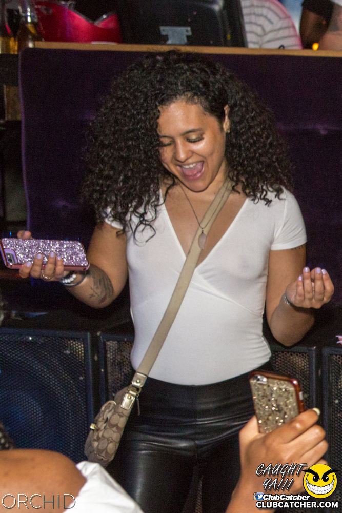 Orchid nightclub photo 49 - August 31st, 2019