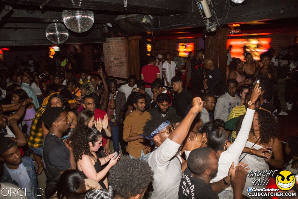 Orchid nightclub photo 51 - August 31st, 2019