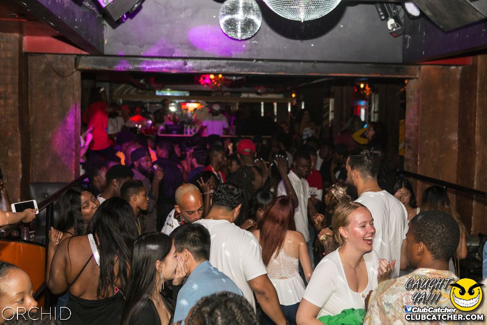 Orchid nightclub photo 55 - August 31st, 2019