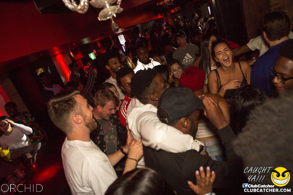 Orchid nightclub photo 61 - August 31st, 2019