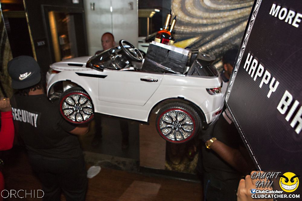 Orchid nightclub photo 67 - August 31st, 2019