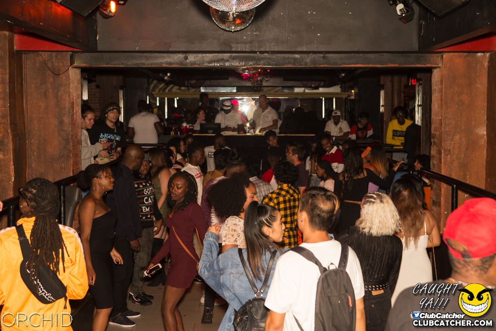 Orchid nightclub photo 68 - August 31st, 2019