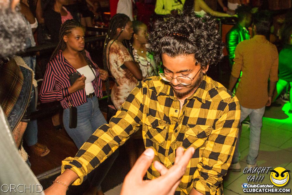 Orchid nightclub photo 73 - August 31st, 2019