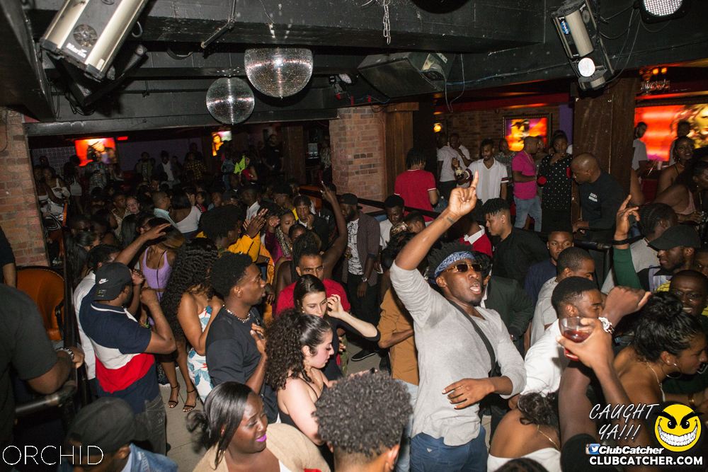 Orchid nightclub photo 77 - August 31st, 2019