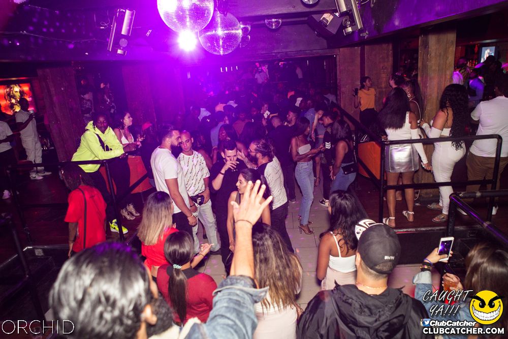 Orchid nightclub photo 9 - August 31st, 2019