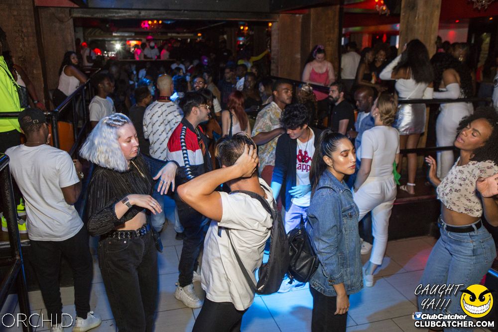 Orchid nightclub photo 82 - August 31st, 2019