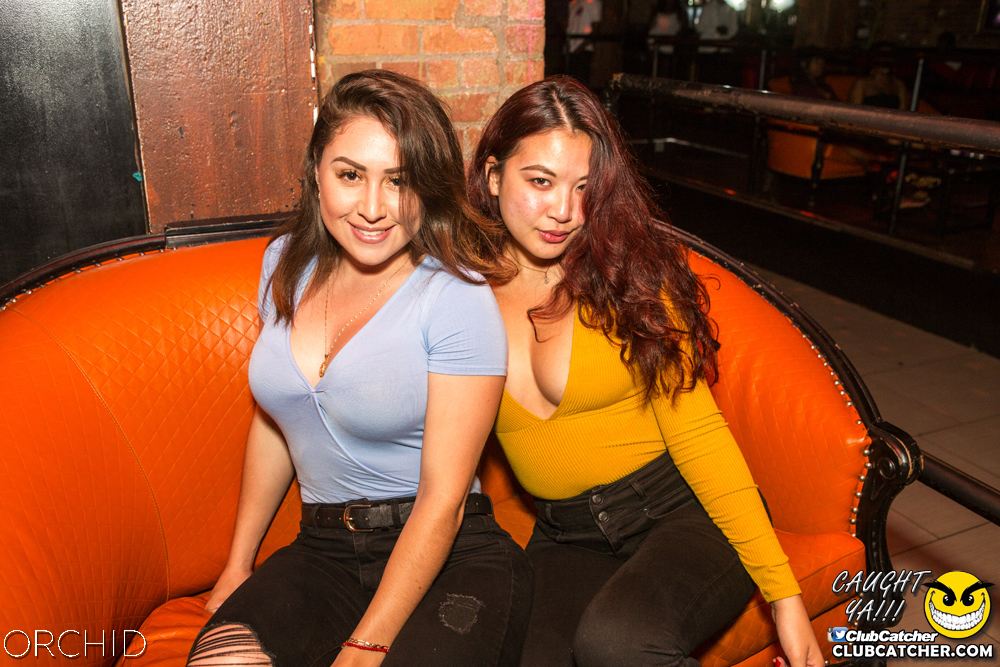 Orchid nightclub photo 83 - August 31st, 2019