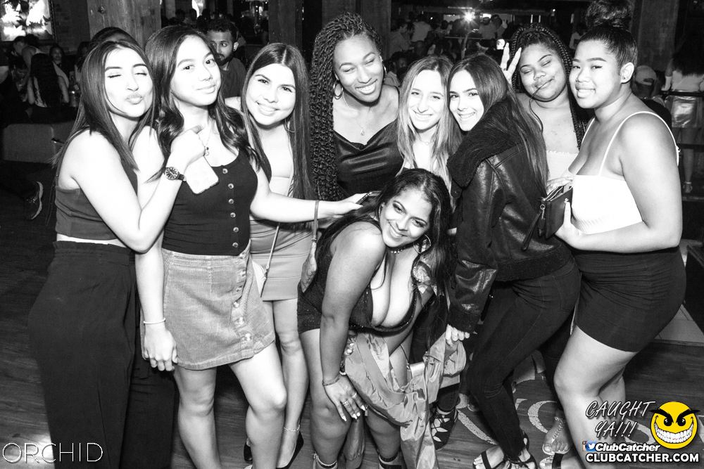 Orchid nightclub photo 84 - August 31st, 2019