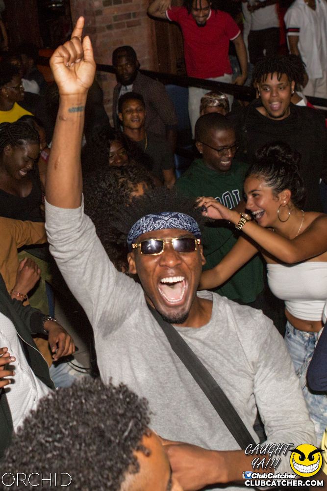 Orchid nightclub photo 85 - August 31st, 2019