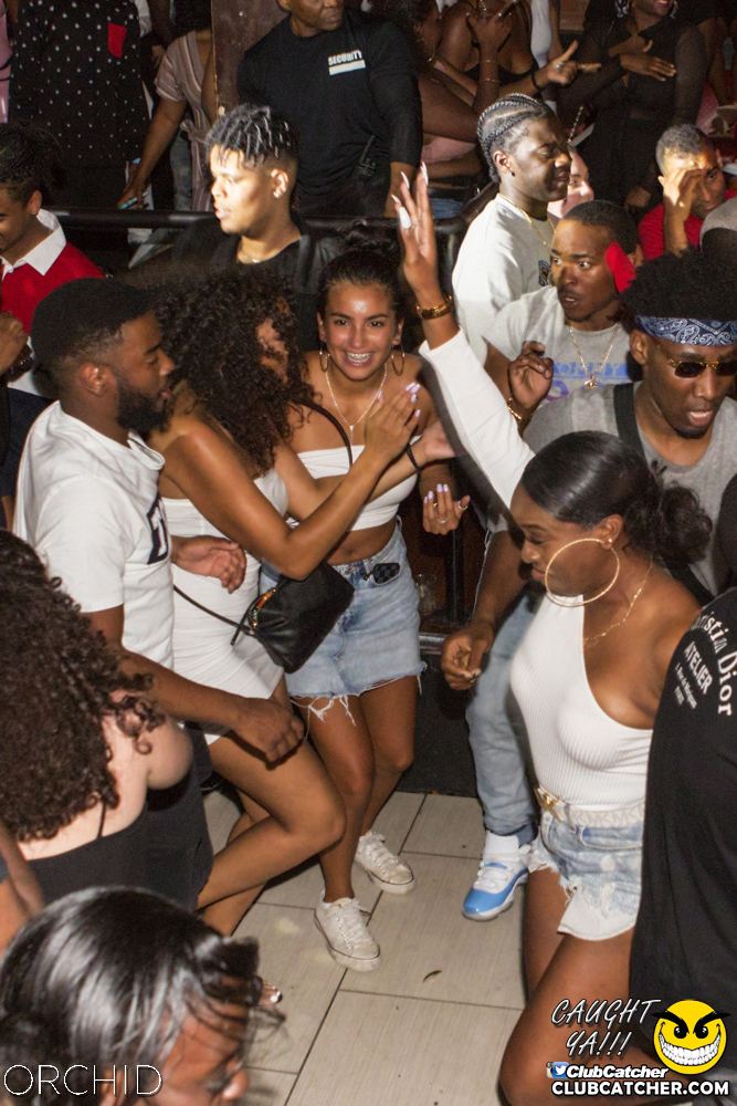 Orchid nightclub photo 97 - August 31st, 2019
