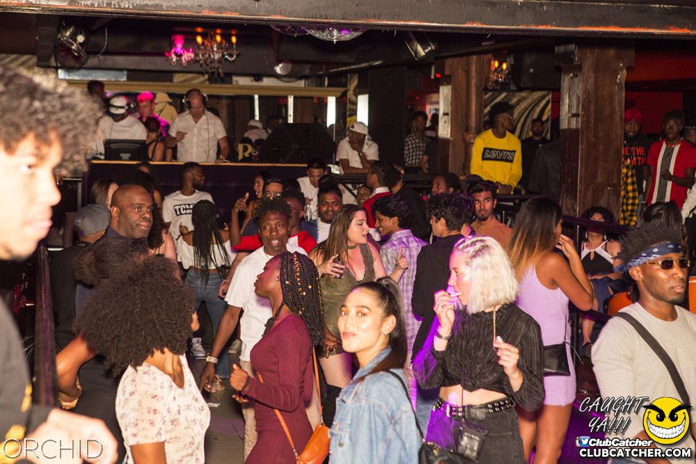 Orchid nightclub photo 98 - August 31st, 2019