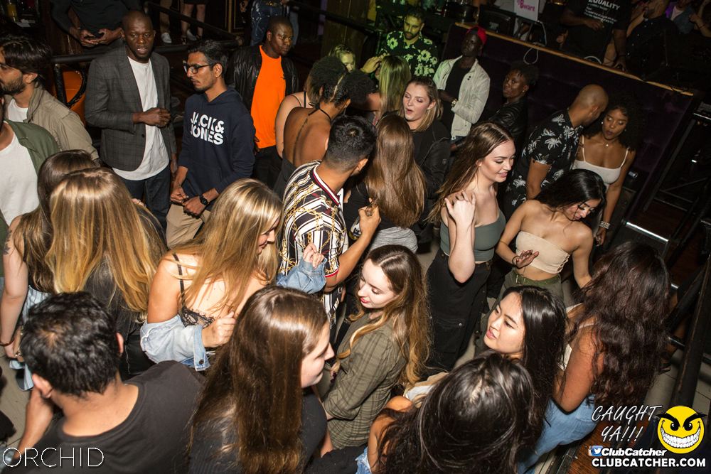 Orchid nightclub photo 112 - September 28th, 2019
