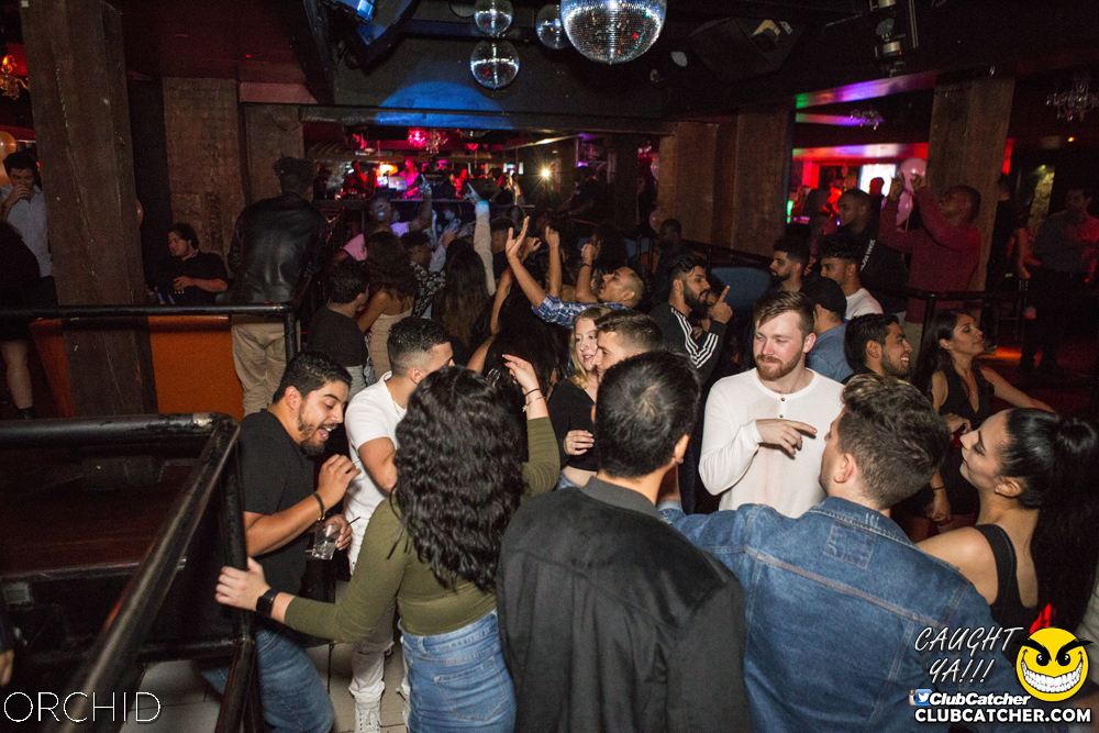 Orchid nightclub photo 118 - September 28th, 2019