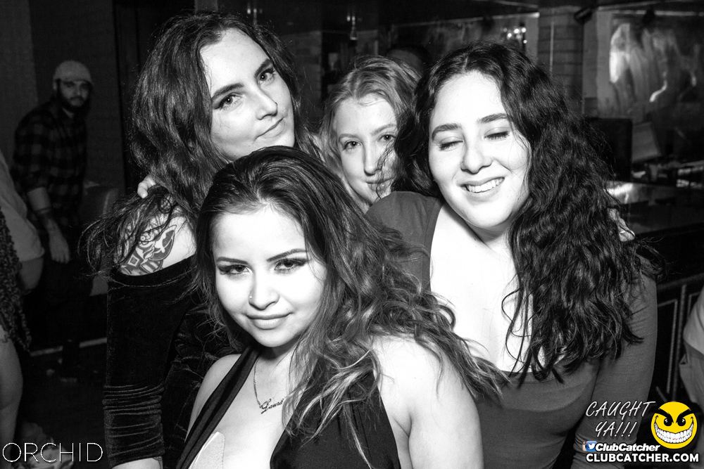 Orchid nightclub photo 124 - September 28th, 2019