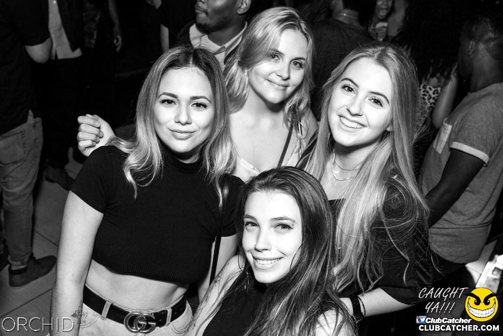 Orchid nightclub photo 126 - September 28th, 2019