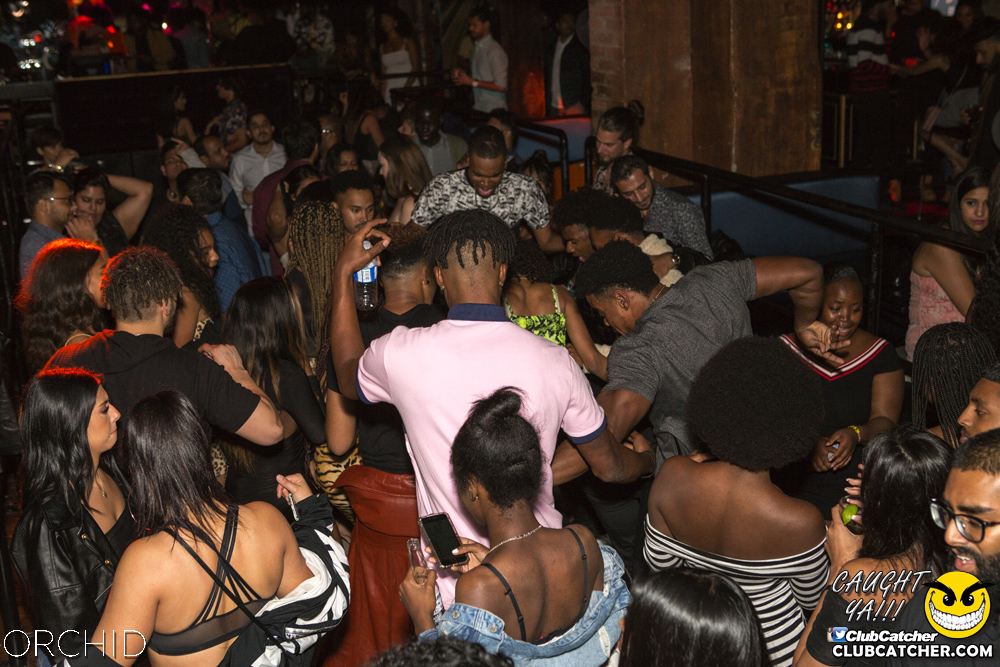 Orchid nightclub photo 129 - September 28th, 2019