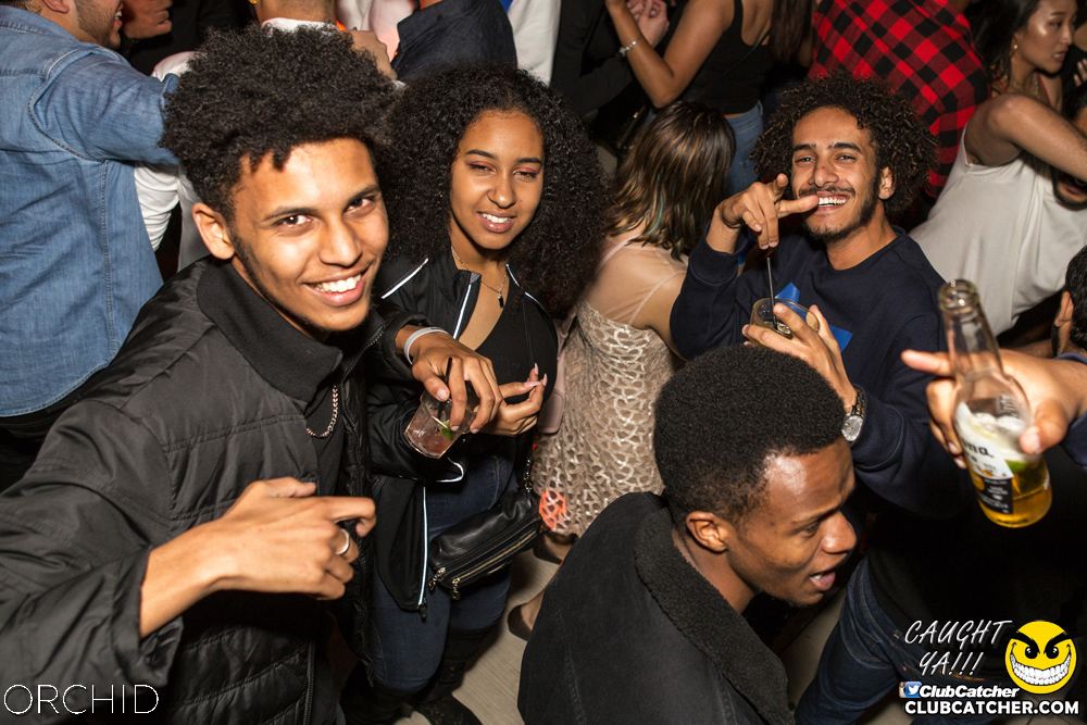 Orchid nightclub photo 139 - September 28th, 2019