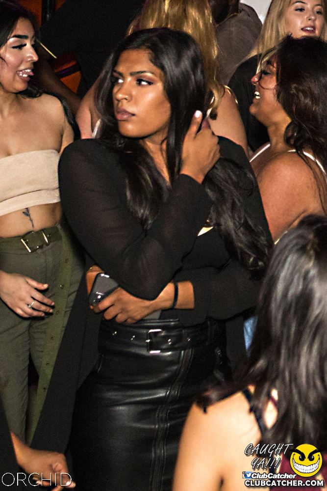 Orchid nightclub photo 148 - September 28th, 2019