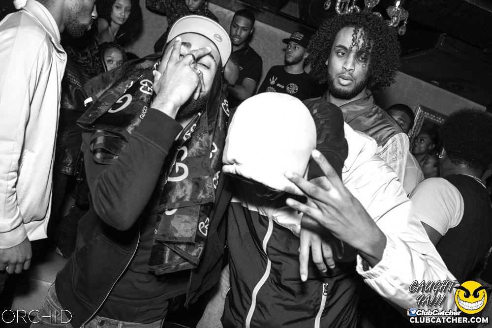 Orchid nightclub photo 103 - October 5th, 2019