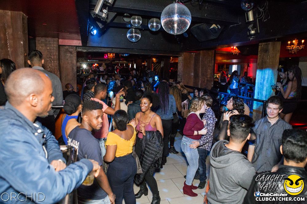 Orchid nightclub photo 109 - October 5th, 2019