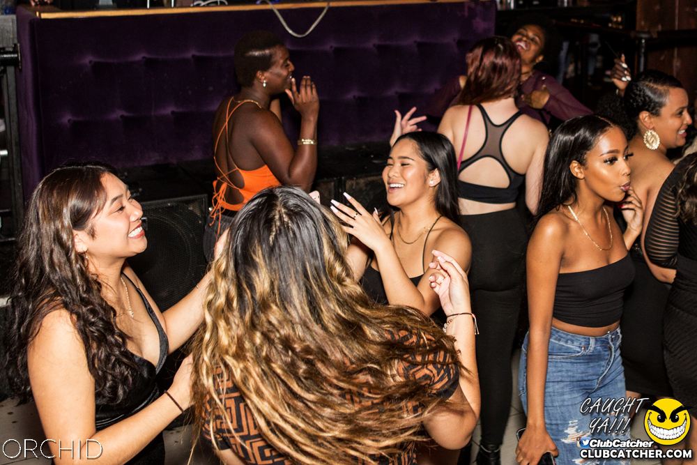 Orchid nightclub photo 116 - October 5th, 2019