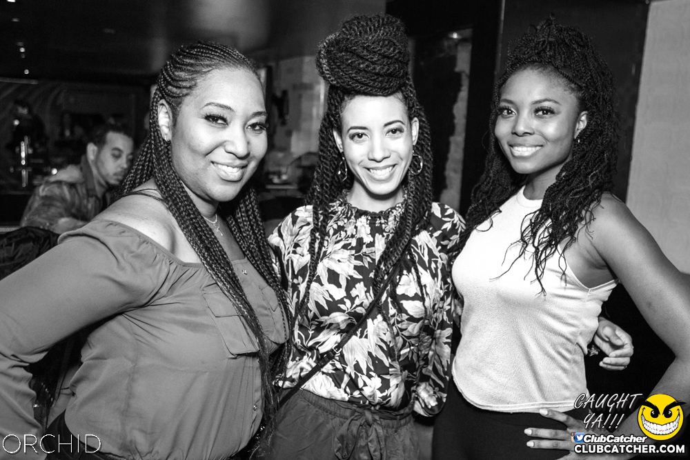 Orchid nightclub photo 117 - October 5th, 2019