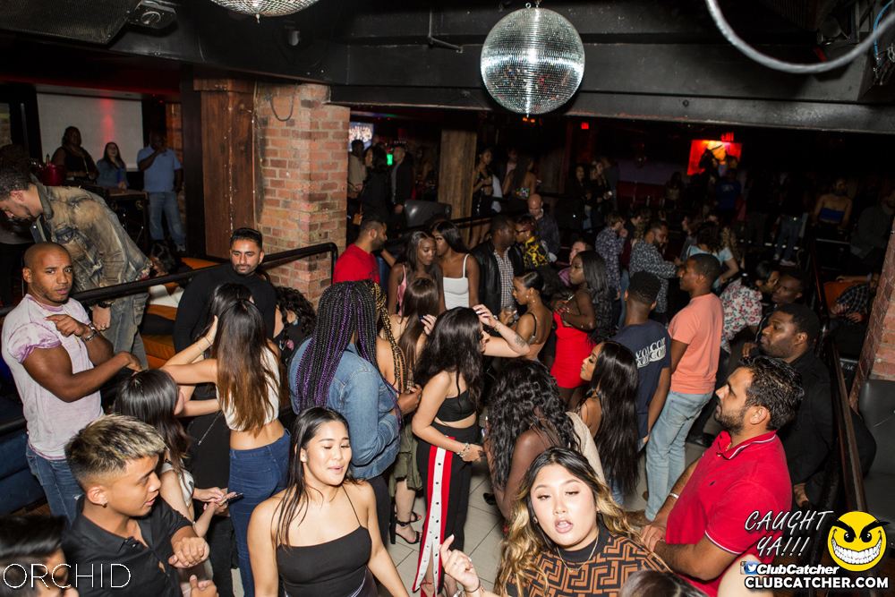 Orchid nightclub photo 118 - October 5th, 2019