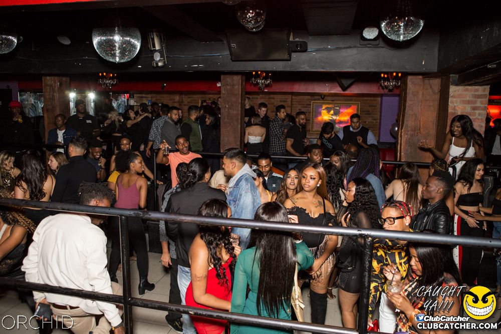 Orchid nightclub photo 122 - October 5th, 2019